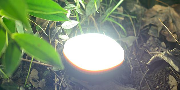Zboží pro piknik: přenosný LED světla