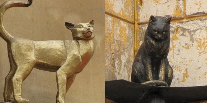 Památky Petrohradu: Monument Elisha kočku a kočku Vasilisa