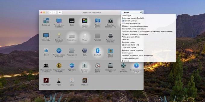 Nastavení systému MacOS: Jak používat vyhledávací pole