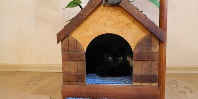 Jak vytvořit dům pro kočku ze stromu s rukama