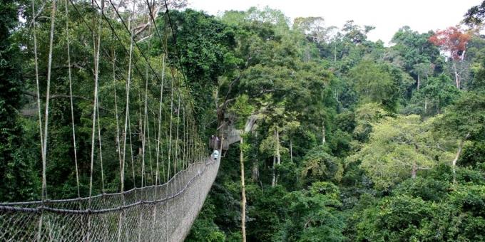 Nejděsivější mosty: lanovka v národním parku Kakum