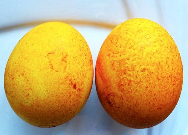 Kuchyň Life Hacking: přírodní barviva na vejce na Velikonoce