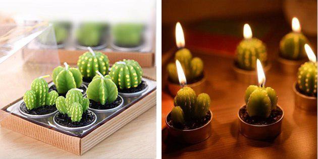 Svíčky, kaktusy