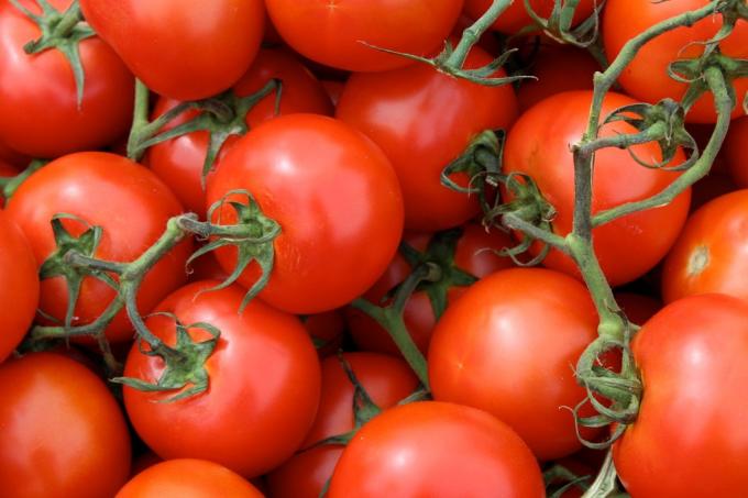 užitečné produkty: rajčata
