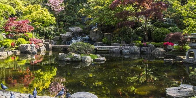 Co vidět v Londýně: japonské Kyoto Garden v Holland Park