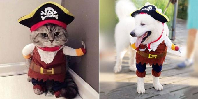 Vánoční kostýmy pro psy a kočky: Fluffy Pirate