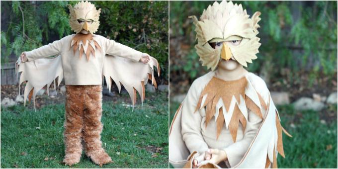 Vánoční kostýmy s vlastníma rukama: Griffin