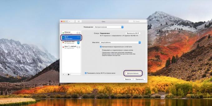 Nastavení DNS-server na MacOS