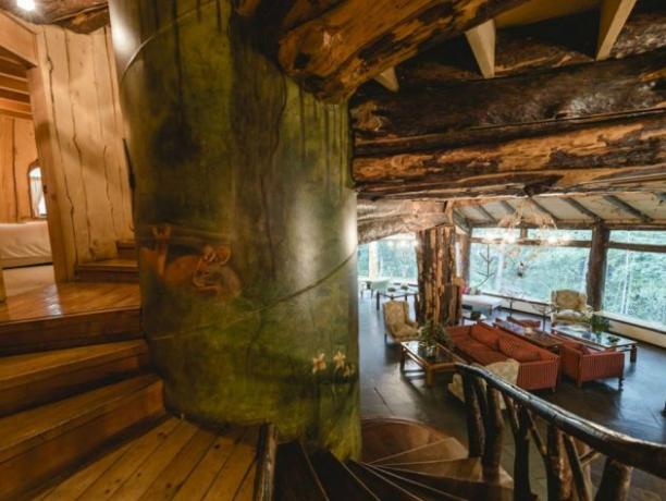 Hotel Magic Mountain Hotel se nachází v chráněných lesích chilský