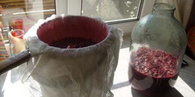 Jak se dělá víno z červeného rybízu doma. Všechny bobule musí zůstat v Marl