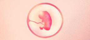 13. týden těhotenství: co se stane s dítětem a mámou - Lifehacker