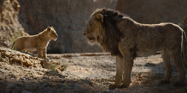 „Lví král“: Simba a Scar