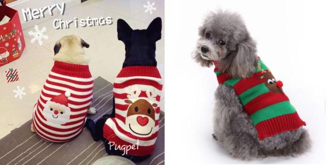 Vánoční kostýmy pro psy: svetr