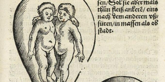 Děti středověku: Dvojčata v lůně, Eucharius Rodion