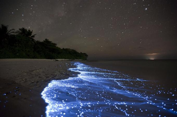 Bioluminiscenční Beach - Vaadhoo, Maledivy nejlepších pláží