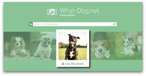 Fetch - inovace od společnosti Microsoft, který bude vyzvednout psa na fotce