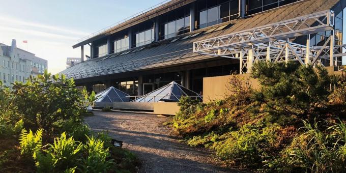 Organizace na pracovišti. Roof Garden