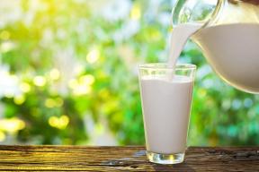 Kde dělá mléko: pravda a mýty o jeho výrobu