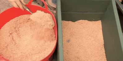 Jak k ukládání mrkve v krabicích: Vložit do dřevěné nebo plastové krabičce o 2 cm písku