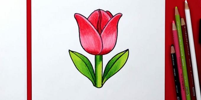 Jak nakreslit jeden jednoduchý tulipán