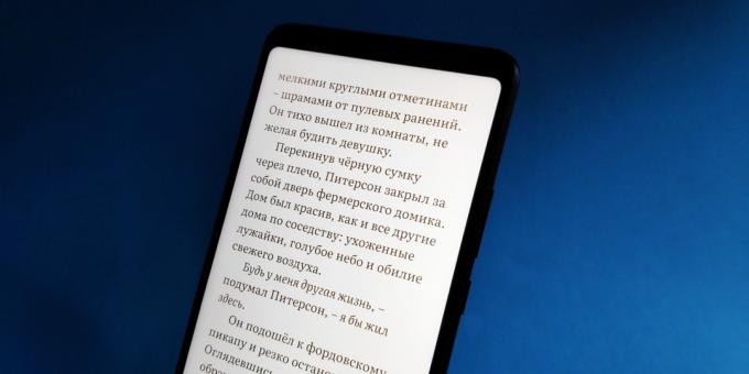 přezkoumání Xiaomi Mi Max 3: Reading