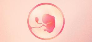 9. týden těhotenství: co se stane s dítětem a mámou - Lifehacker