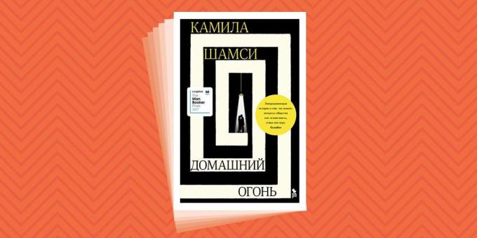 Které lze přečíst na dovolenou: „Dům Fire“, Kamil Shamsi