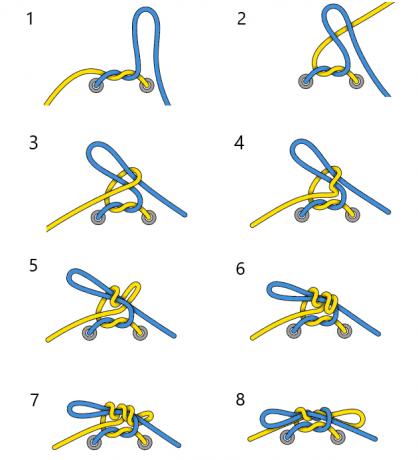 Jak uvázat tkaničky: chirurg knot