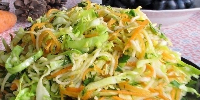 Pokrmy z tuřínu: salát s vodnice, zelí a mrkev