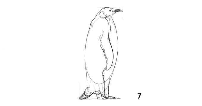 Jak k tomu tučňáka