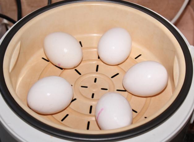 Jak vařit vejce ve dvoulůžkovém kotle nebo multivarka