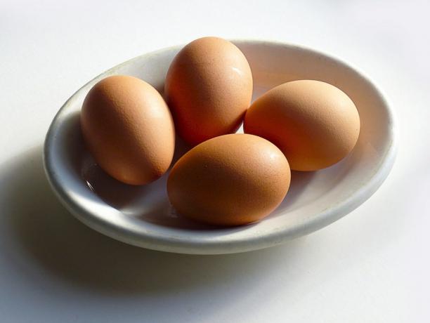 Zdroje bílkovin: vejce