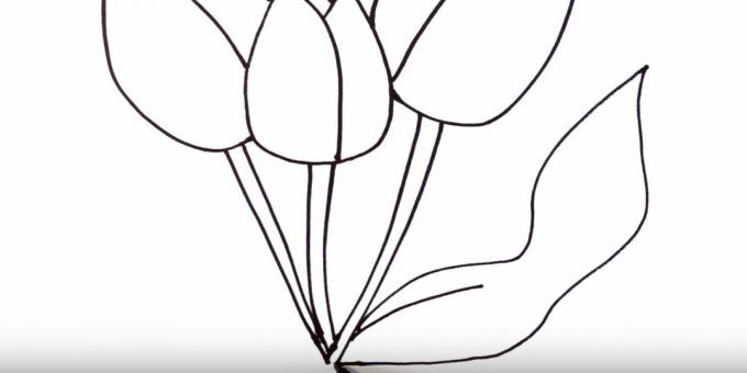 Jak nakreslit tulipán: zobrazte pravý list