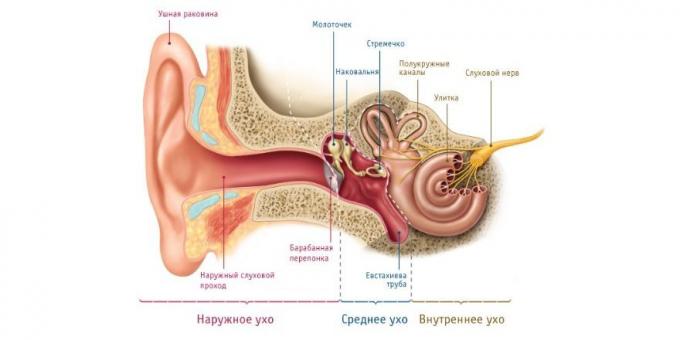V případě, že dítě má bolest ucha, je fyziologický důvodem