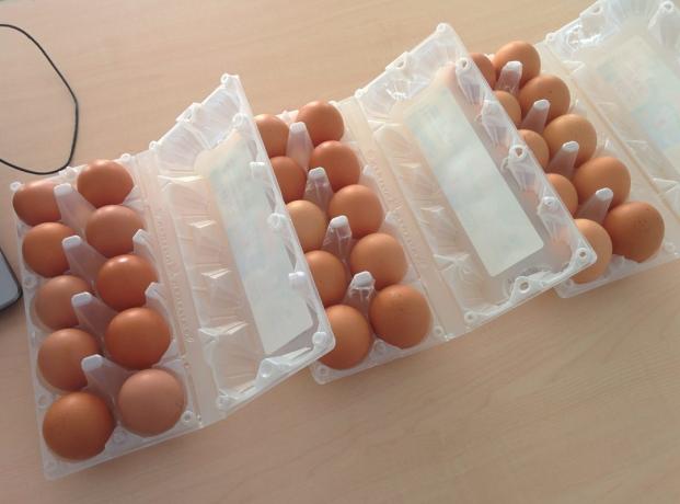 Co výhodnější koupit vejce