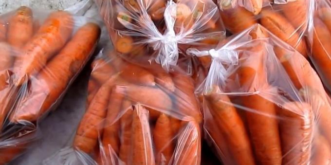 Jak uchovávat mrkev v pytlích: dát mrkev v igelitových pytlích a kravatu je správně