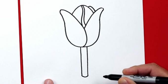 Jak nakreslit tulipán: přidejte stopku