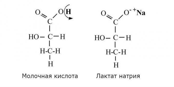 kyselina mléčná a laktát