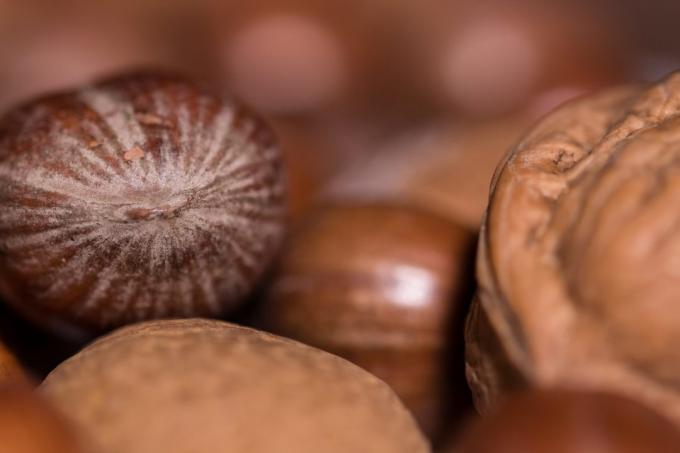 zdravé potraviny: ořechy