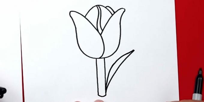 Jak nakreslit tulipán: začněte kreslit pravý list