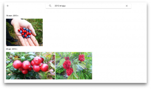 10 důvodů, proč si vybrat Fotky Google k ukládání fotografií