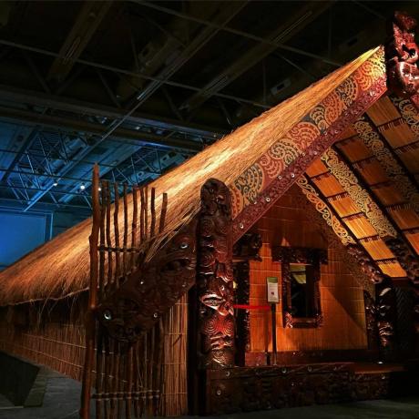 Muzeum Nového Zélandu (Te Papa Tongarewa)