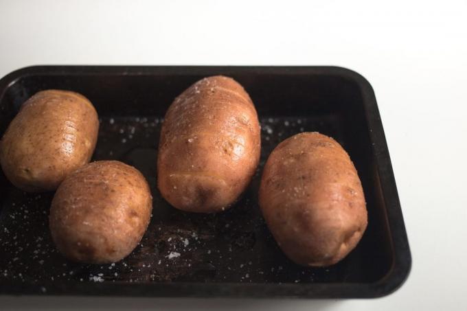 brambory hasselbek: olej