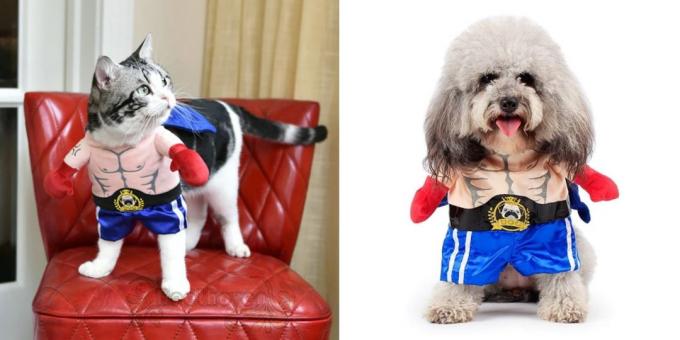 Vánoční kostýmy pro psy a kočky: boxer