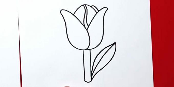 Jak nakreslit tulipán: dokončete pravý list