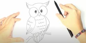Jak nakreslit sovu: 21 snadných způsobů