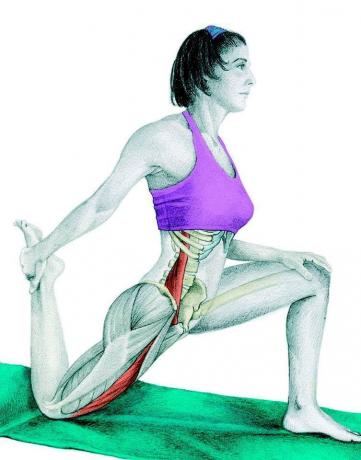 Anatomie natahování: protahování stehna