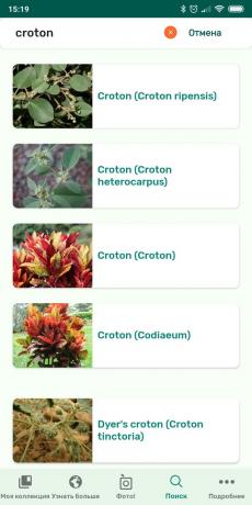 Identifikovat druhy pokojových rostlin s využitím PlantSnap