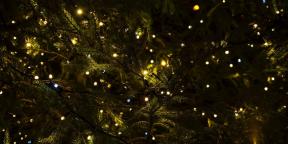 6 Vánoční tradice, které k nám přicházejí z pohanství