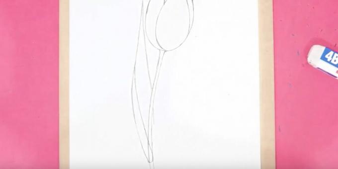 Jak nakreslit tulipán: nakreslete stonek a levý list